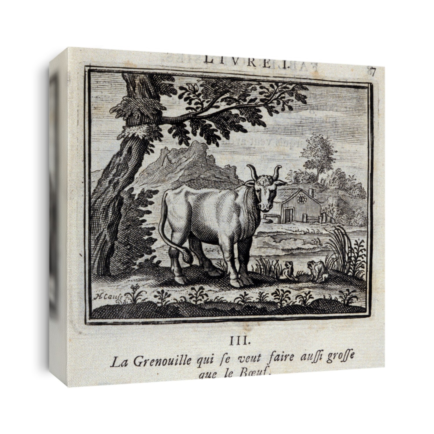 The Frog who wants to get as big as the Beef. Fables by Jean de La Fontaine (1621-95). Illustration by Franois Chauveau (1613-1676). Edition of 1728.