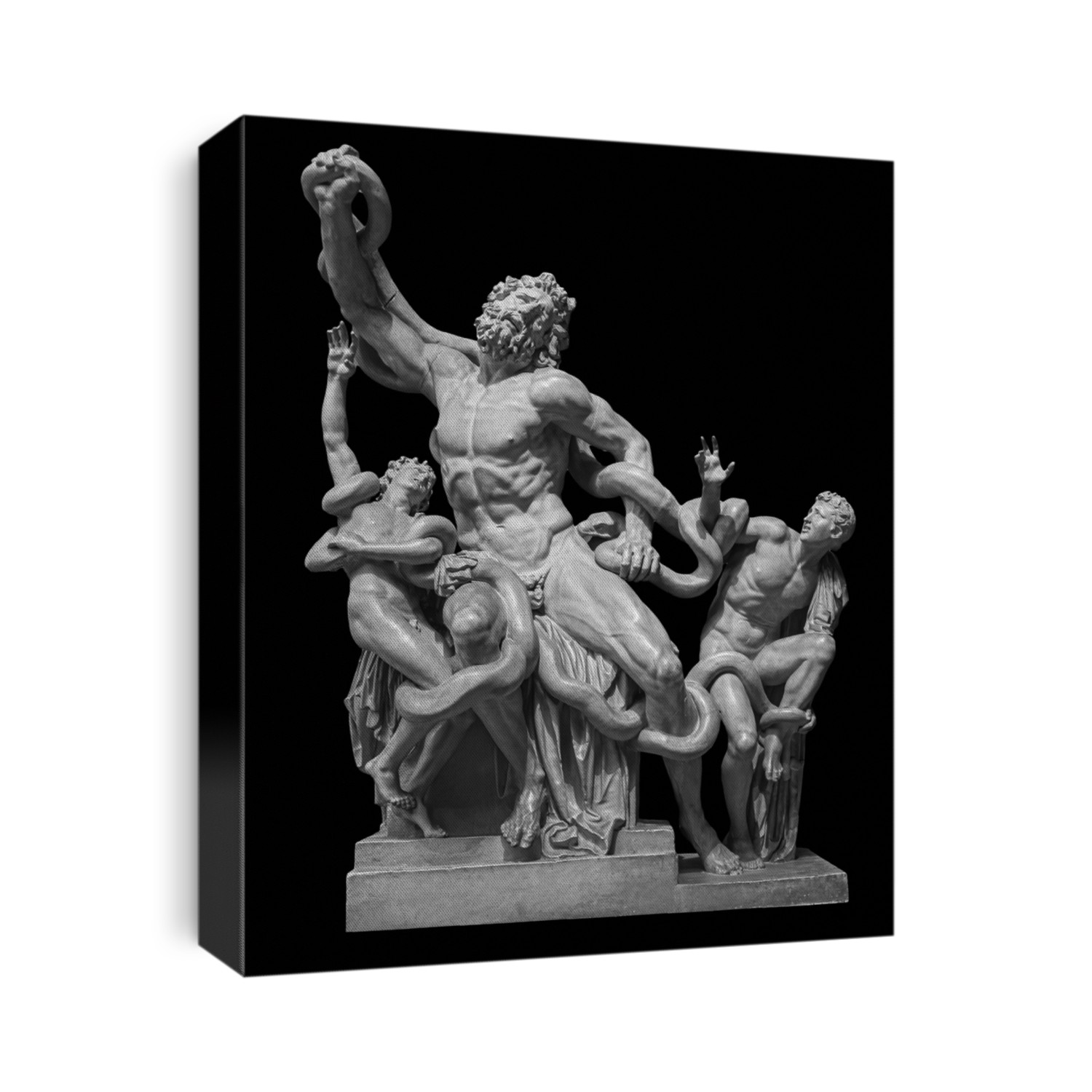 Front view of famous laocoon roman copy sculpture isolated on black background. Trojan Laocoon was strangled by sea snakes with his two sons